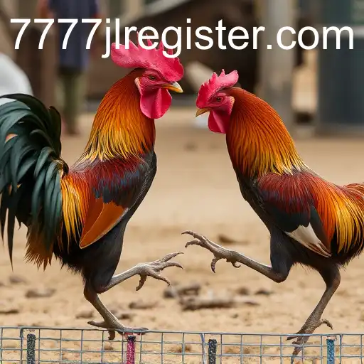 The Complex World of Cockfighting and Its Cultural Resonance